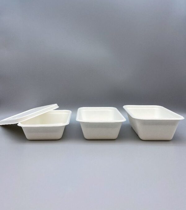 Premium Eco-Friendly Sugarcane Bagasse Rectangular Containers (25psc)